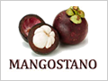 mangostano